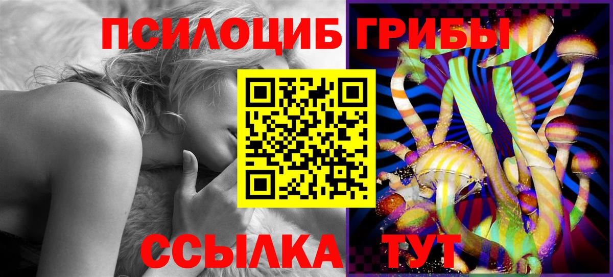 Псилоцибиновые грибы Cubensis  Галлюциногенные грибы мицелий  Алатырь  Вход с VPN 